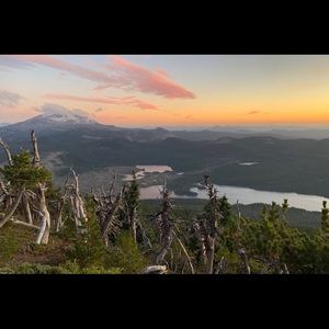 Meet your Posher, Tamara